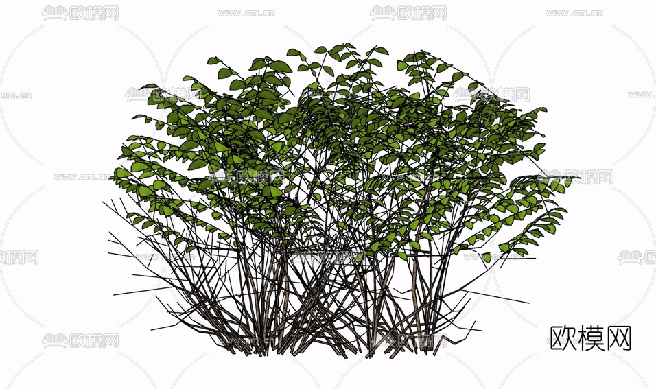 现代绿植免费su模型下载
