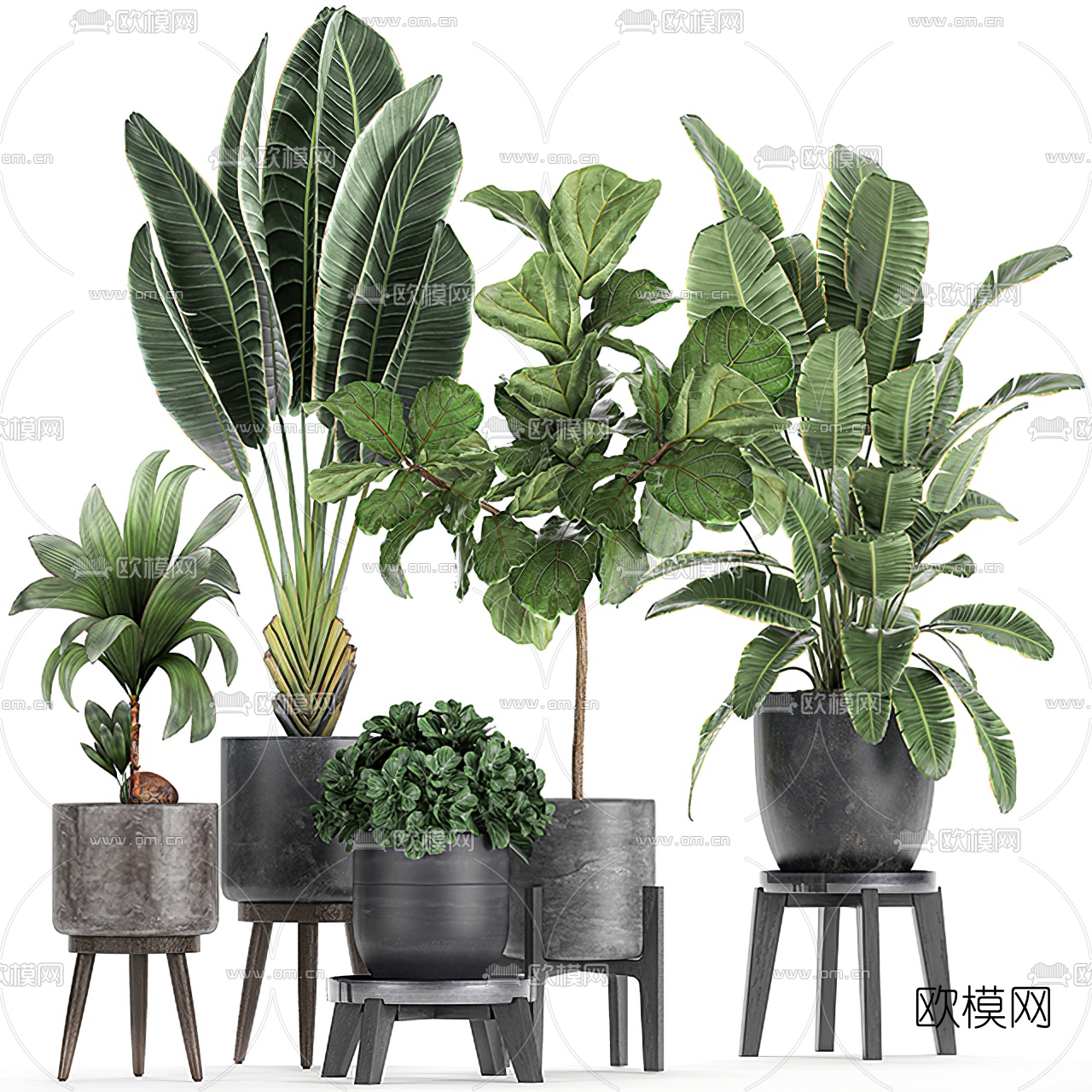 现代植物盆栽3d模型下载