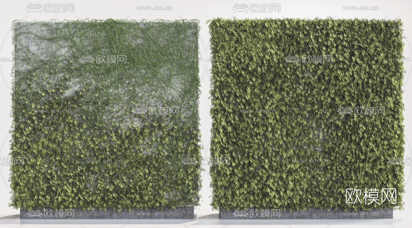 现代藤蔓植物墙3d模型下载（渲染图2）