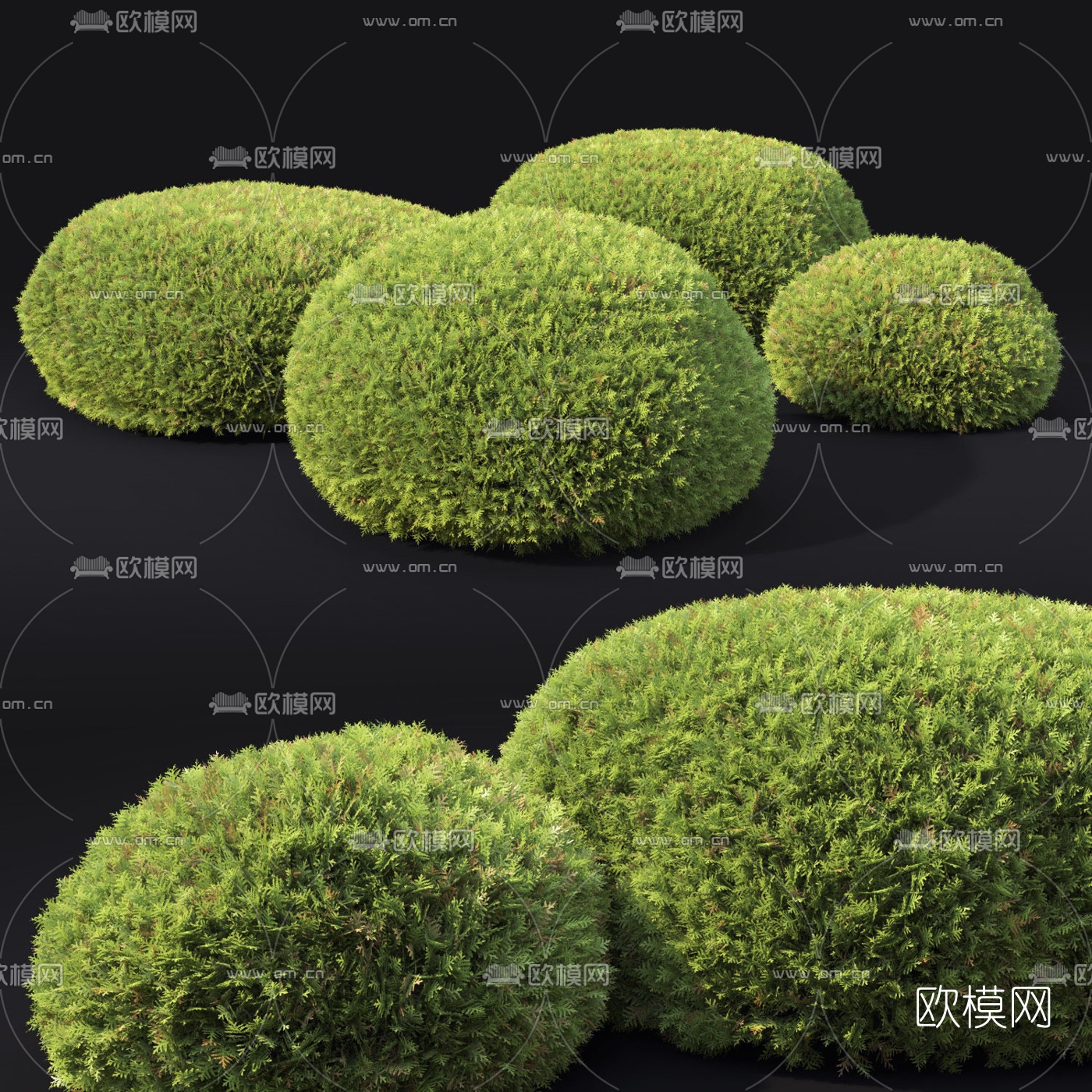 现代灌木绿篱3d模型下载（渲染图3）