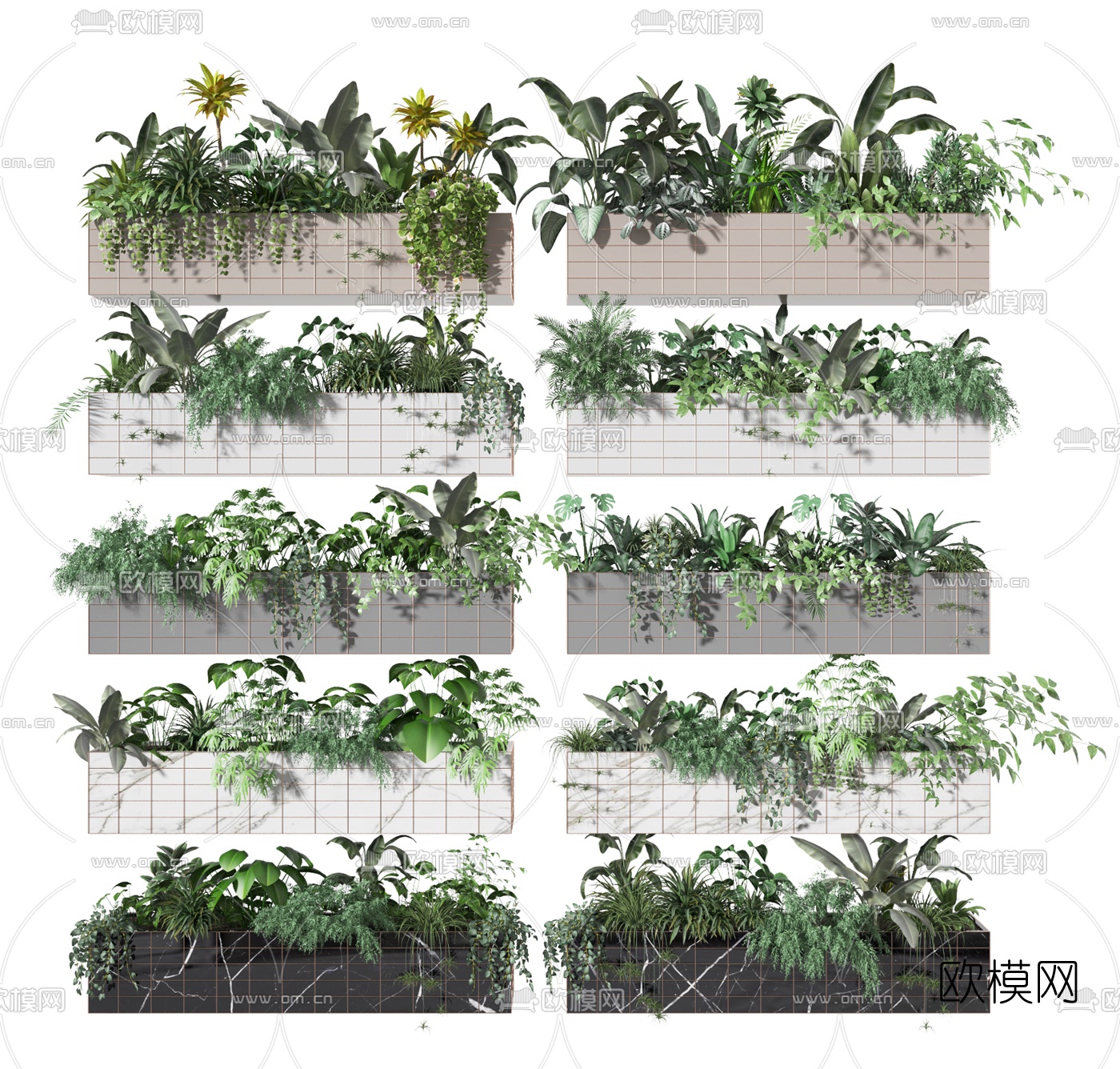 现代植物绿植盆栽3d模型下载