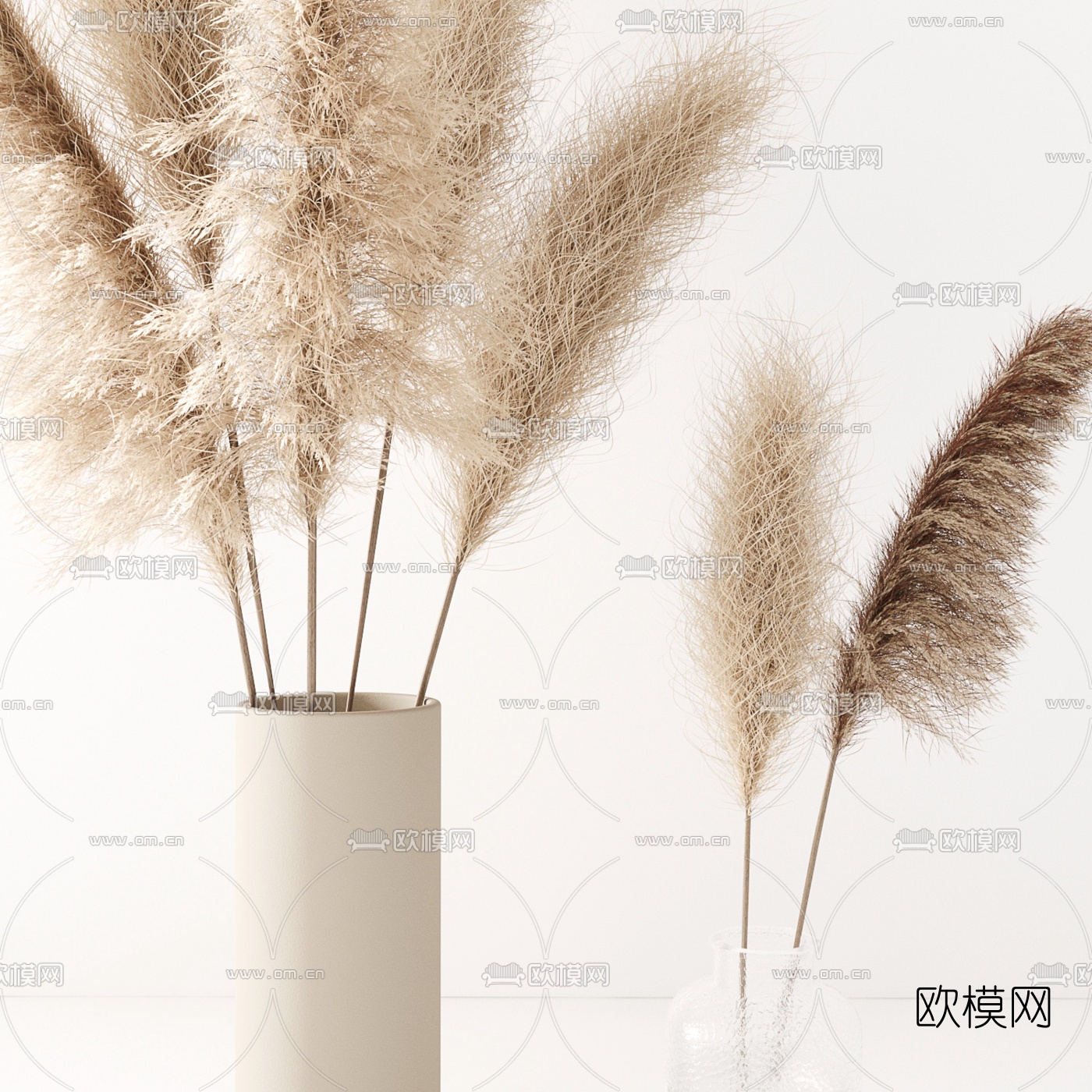 北欧干花干芦苇花卉3d模型