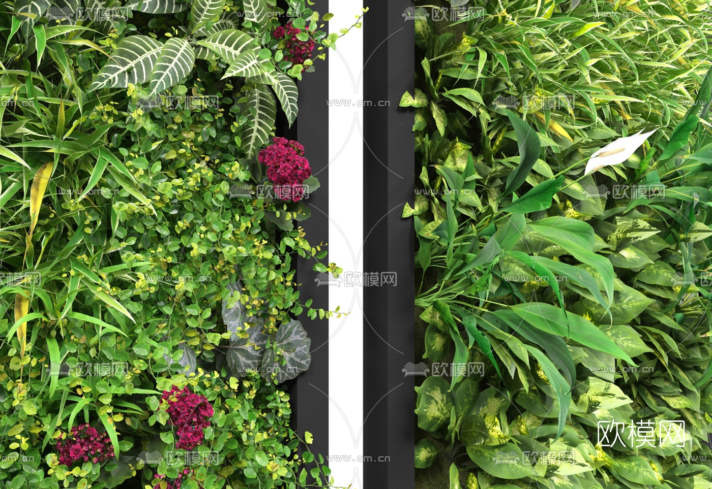 现代花草绿植墙3d模型