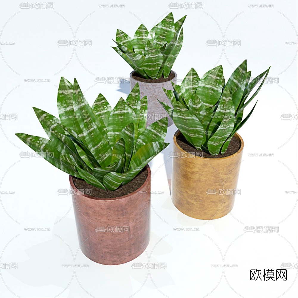 现代虎皮兰绿植盆栽3d模型