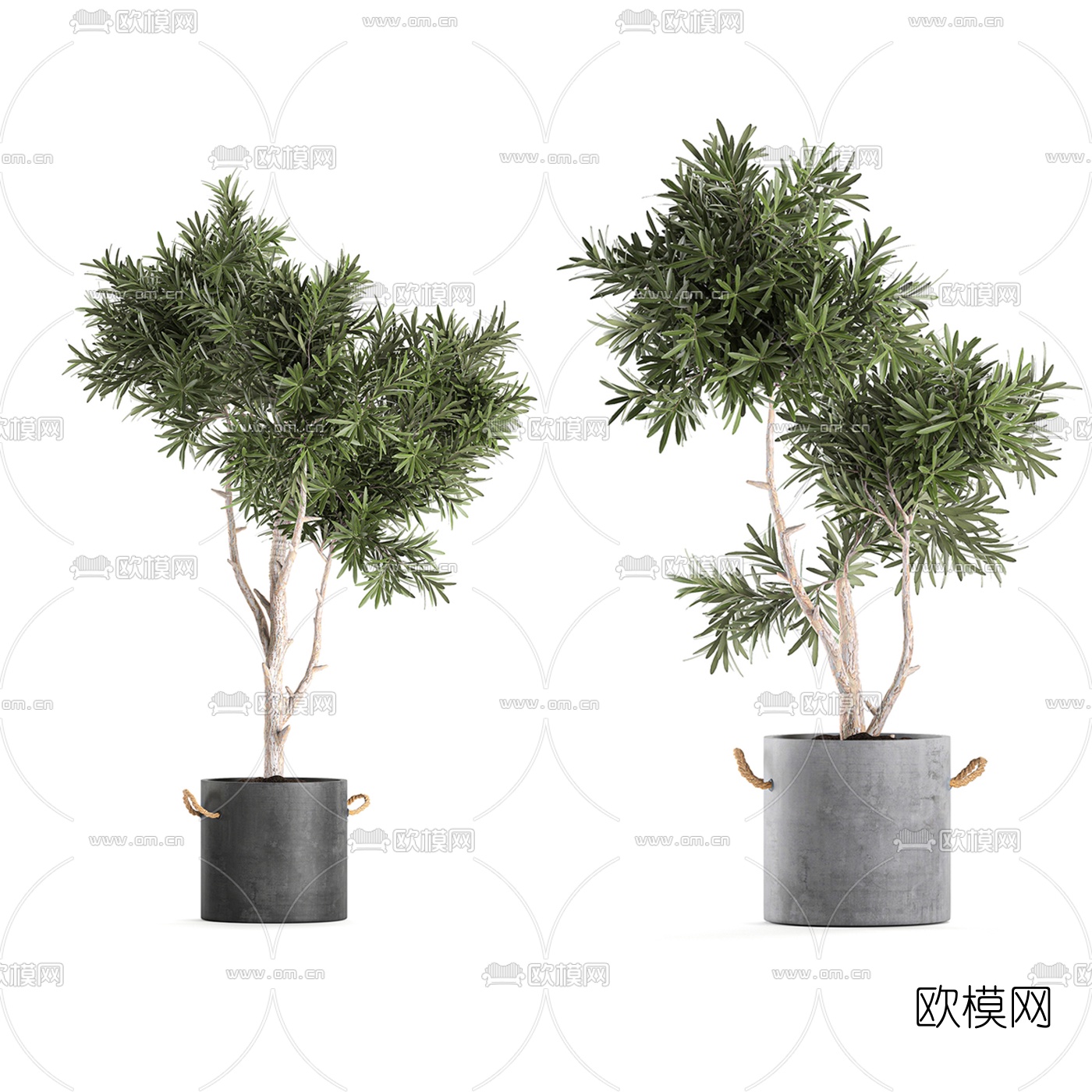 现代绿植盆栽3d模型下载