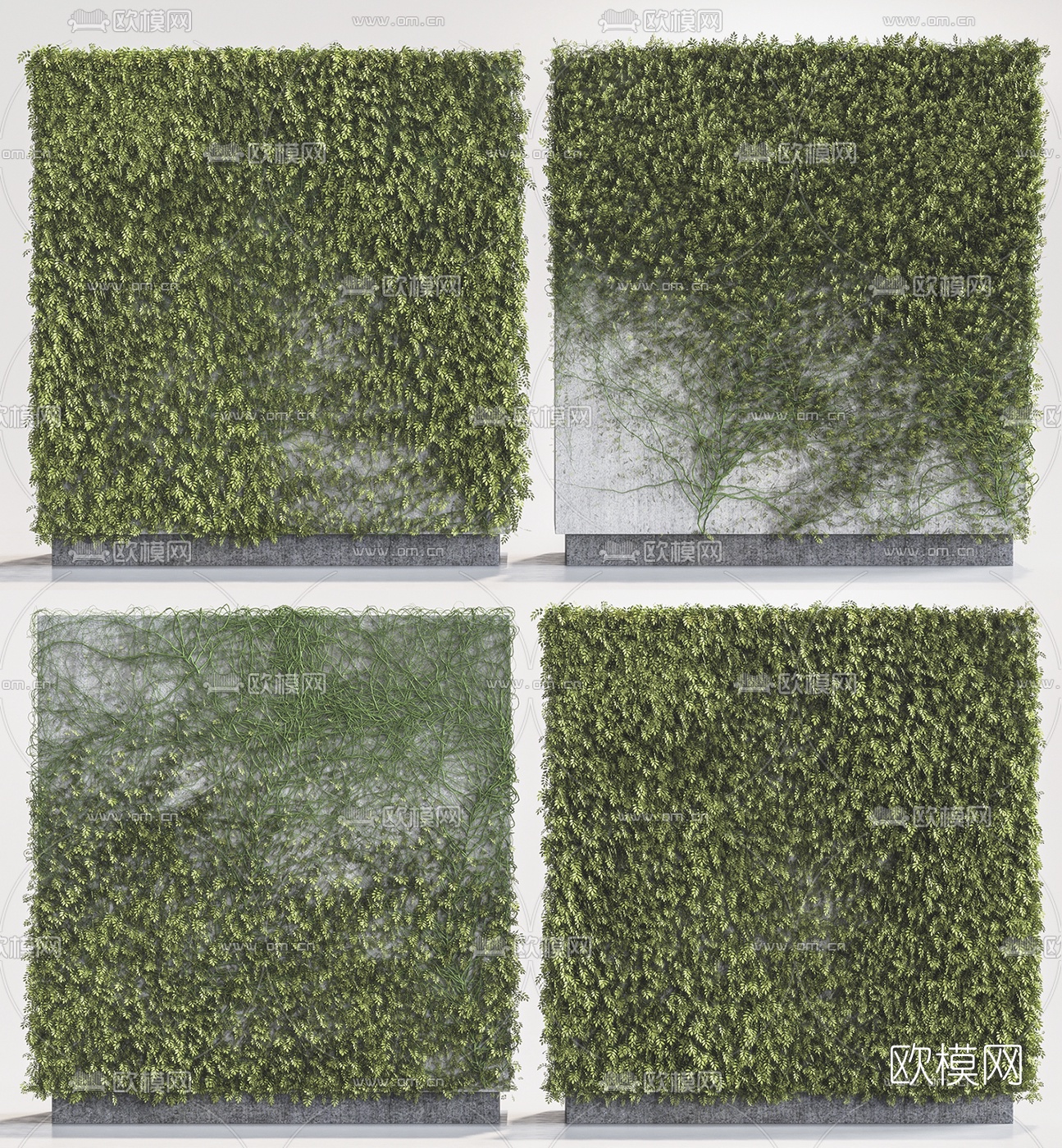 现代藤蔓植物墙3d模型下载（渲染图1）