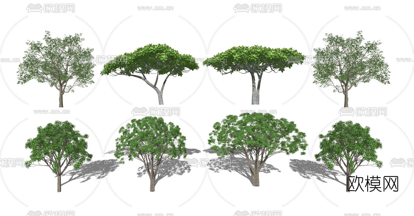 现代景观树su模型