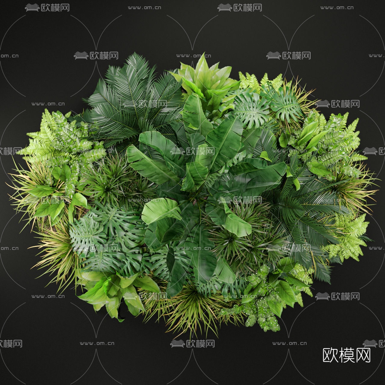 现代绿植灌木丛3d模型下载（渲染图3）