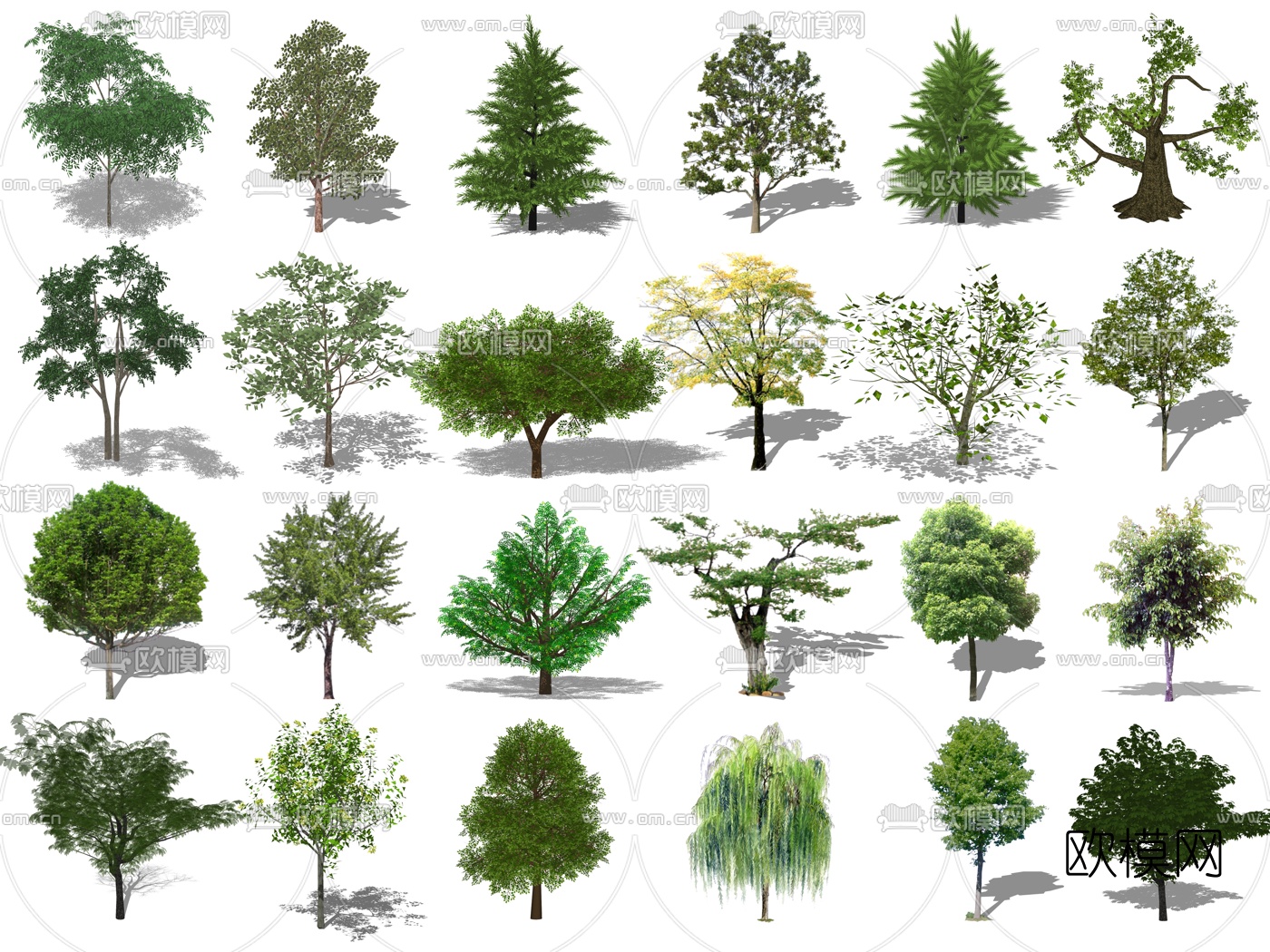 现代景观树su模型下载（渲染图3）