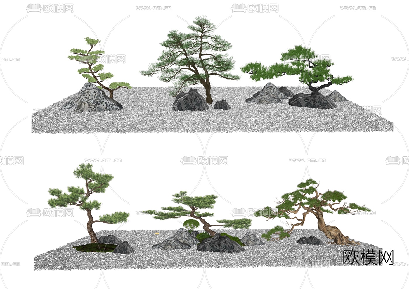 新中式罗汉松景观树su模型下载（渲染图1）