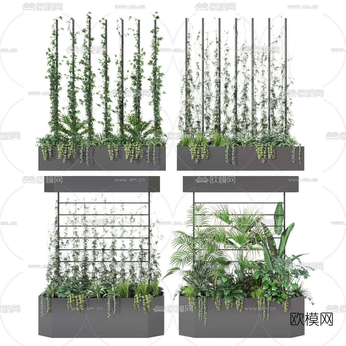 现代藤蔓绿植盆栽3d模型