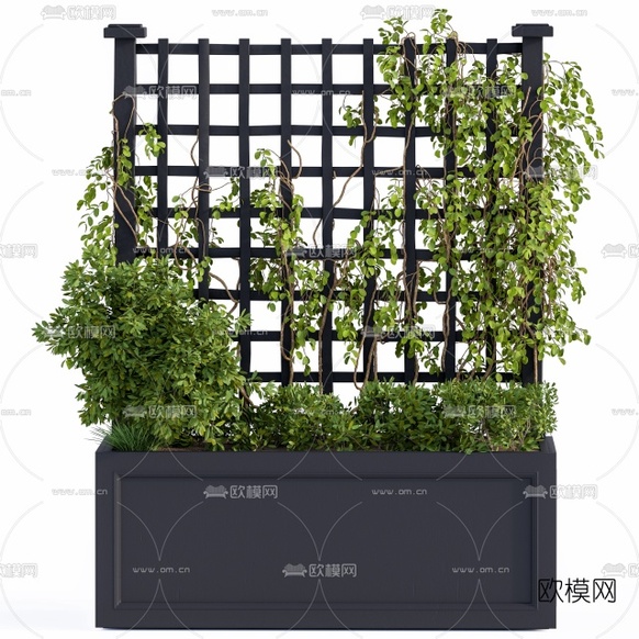现代绿植盆栽藤蔓3d模型下载(渲染图2)