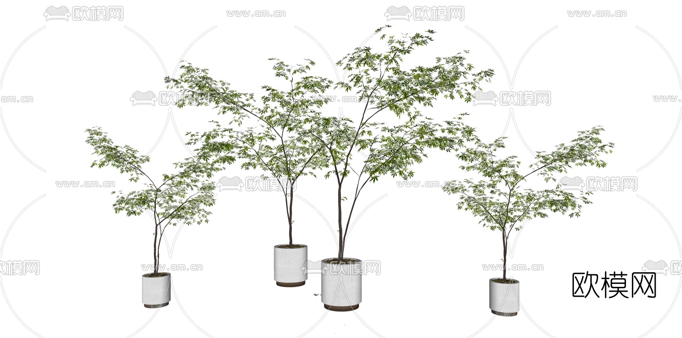 现代植物盆栽su模型