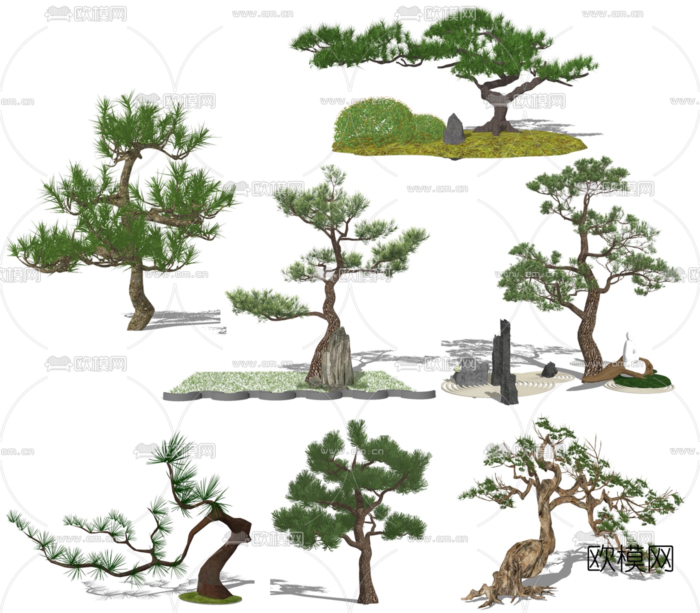 现代迎客松su模型下载