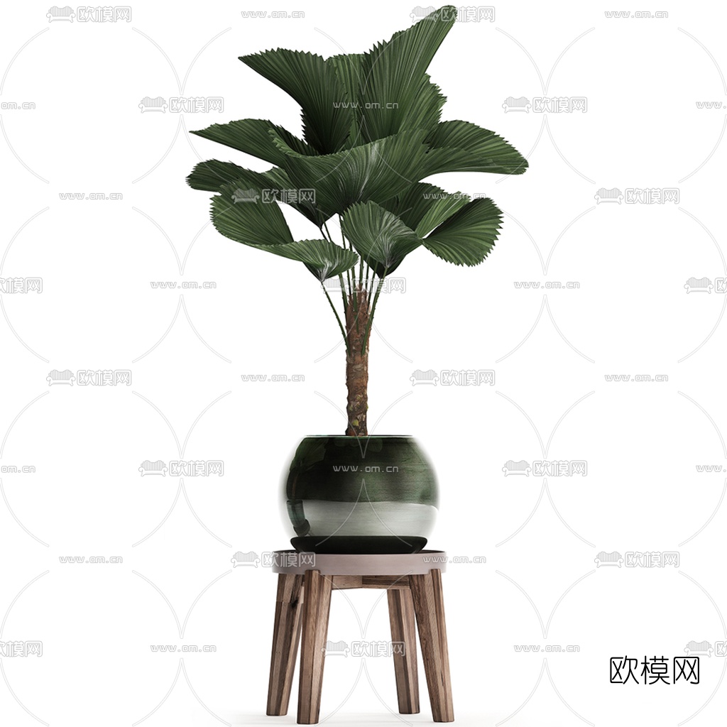 现代植物盆栽3d模型