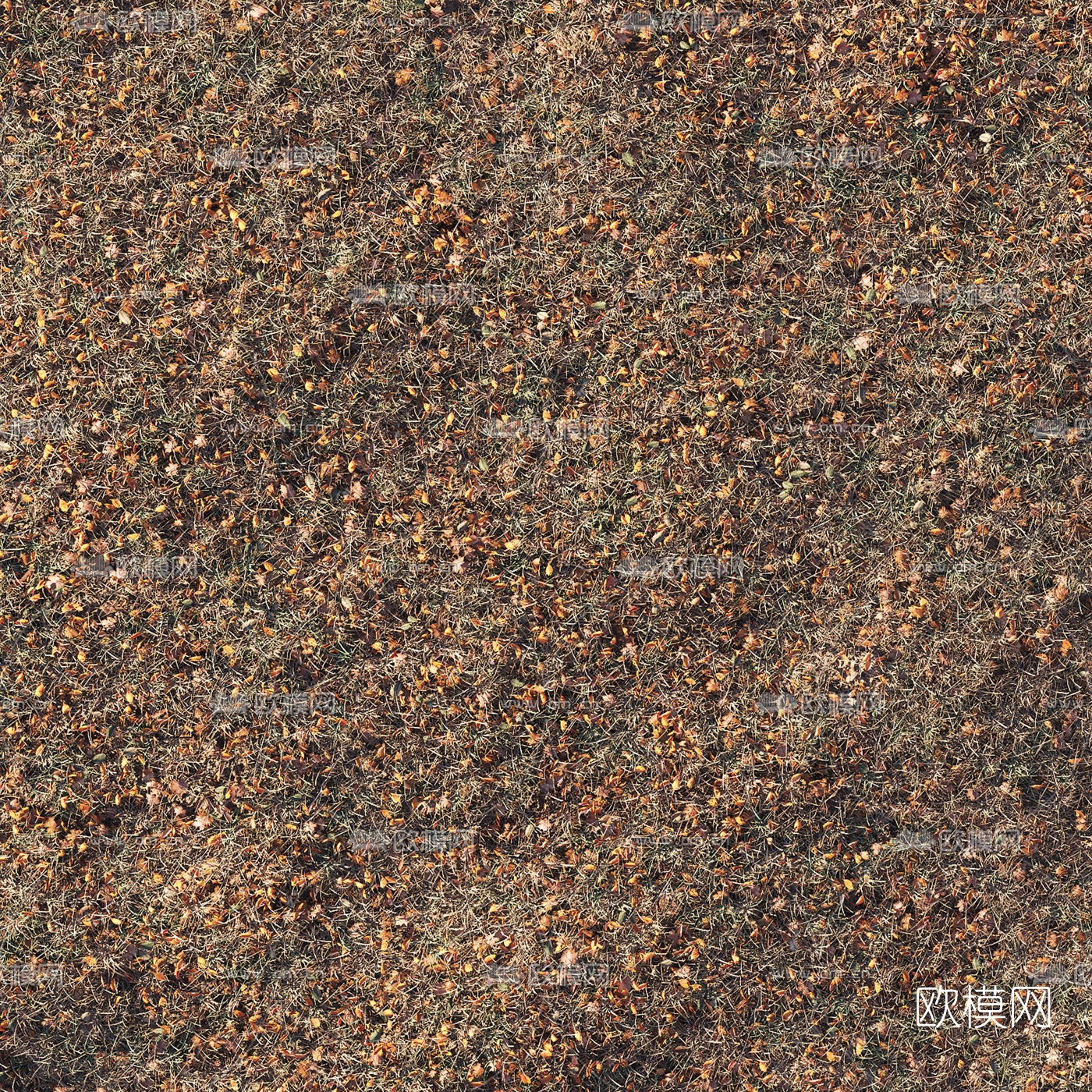 现代秋季落叶干草地3d模型下载（渲染图4）