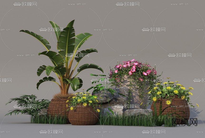 现代芭蕉菊花盆栽3d模型下载