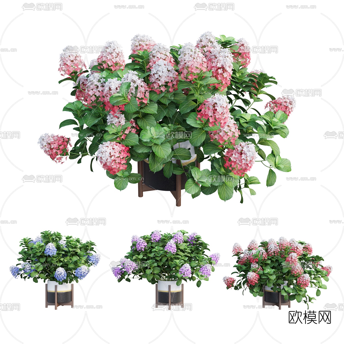 现代鲜花盆栽3d模型下载（渲染图1）