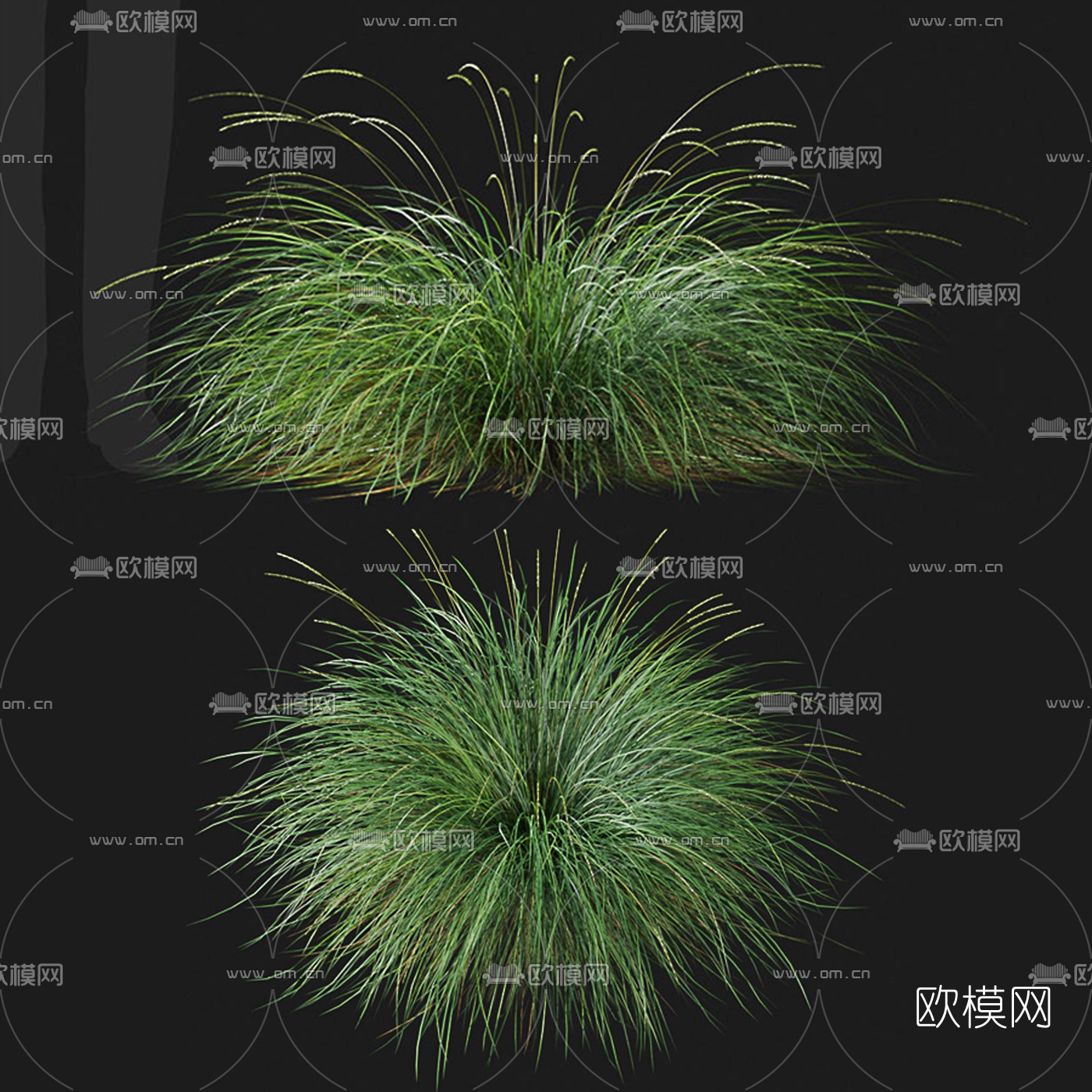 现代植物花草3d模型下载