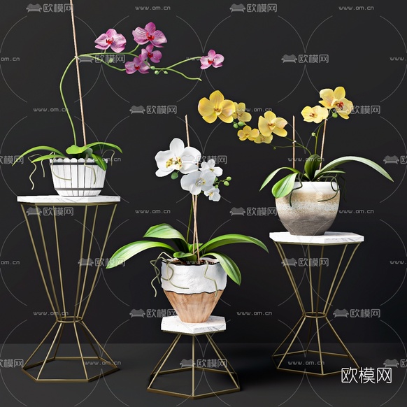 现代兰花盆栽3d模型下载(渲染图1)