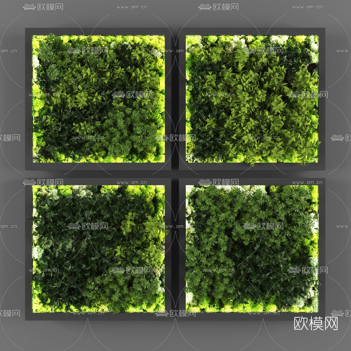 现代植物墙3d模型