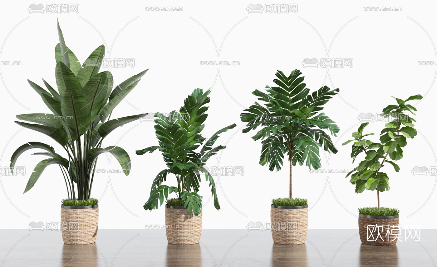 现代绿植盆栽3d模型