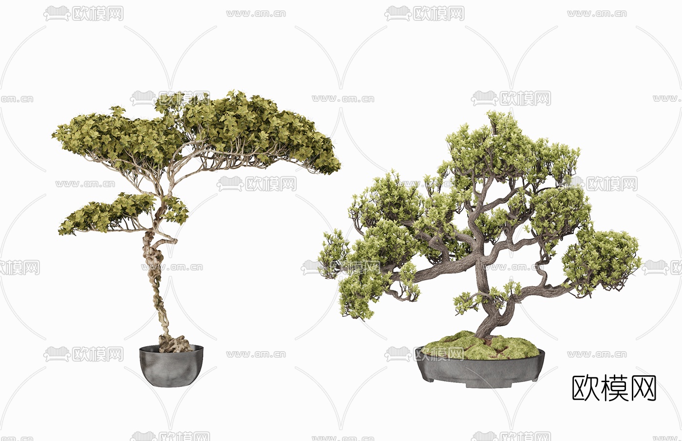 现代绿植盆景3d模型-免费3dmax模型库-欧模网