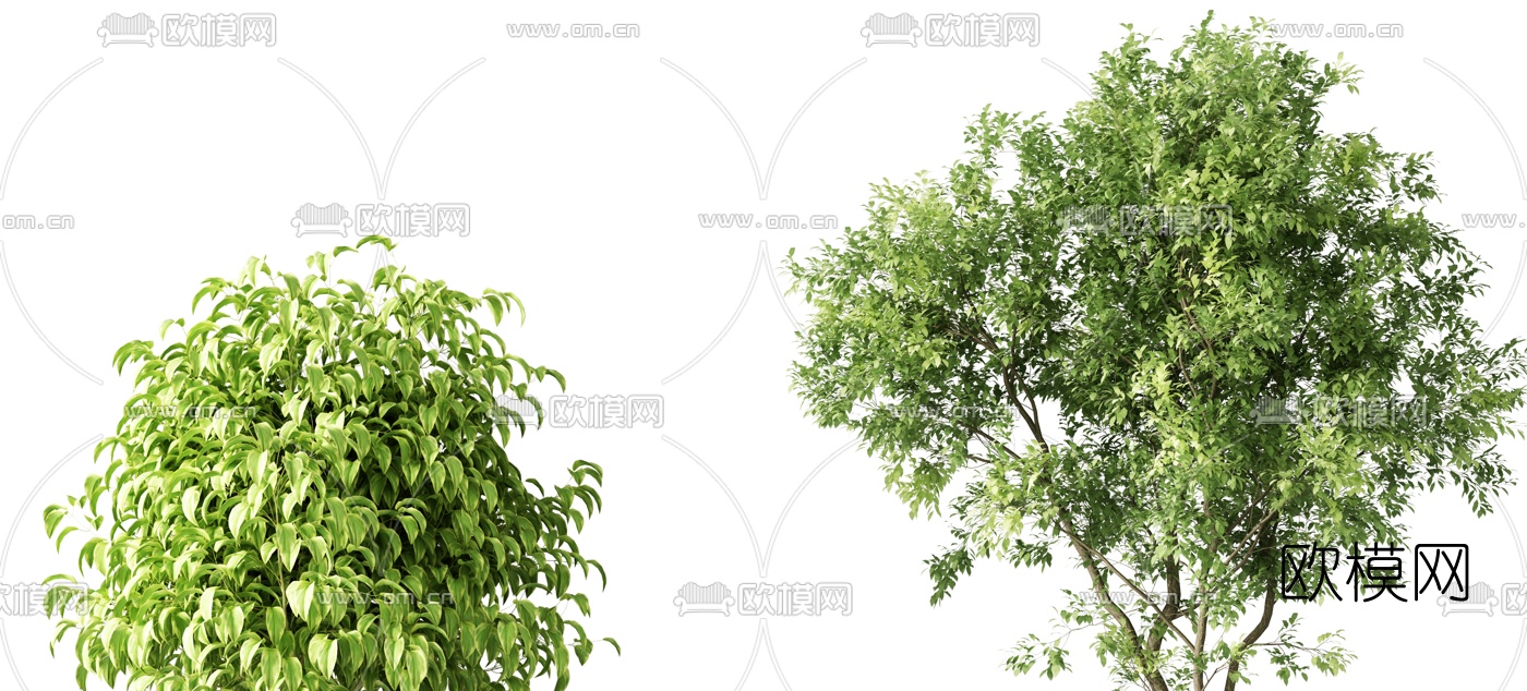 现代绿植盆栽3d模型