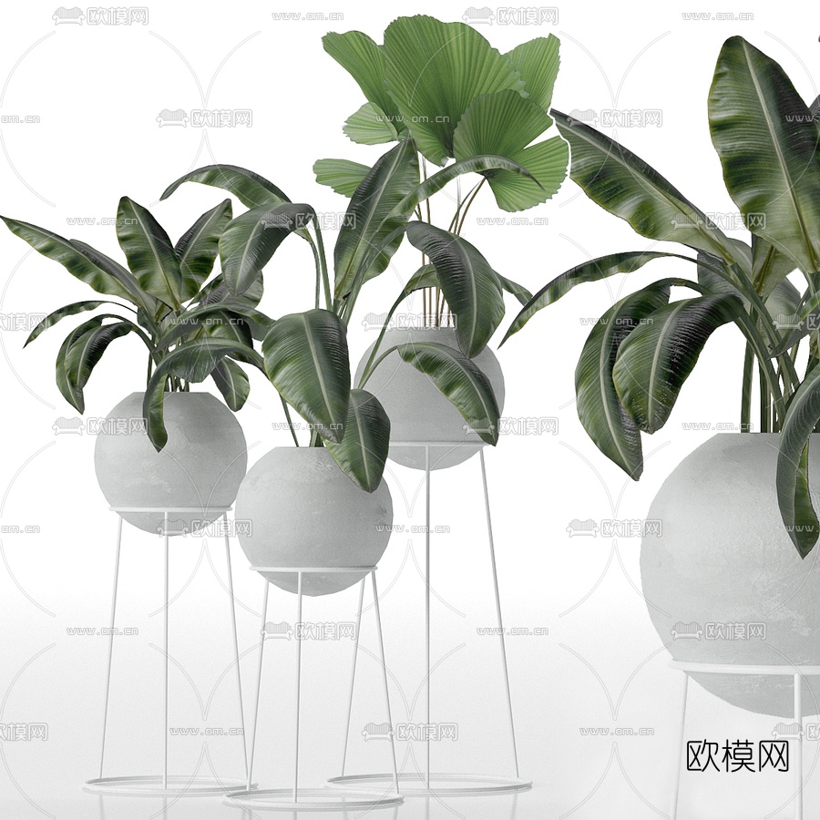 北欧植物盆栽3d模型下载（渲染图2）