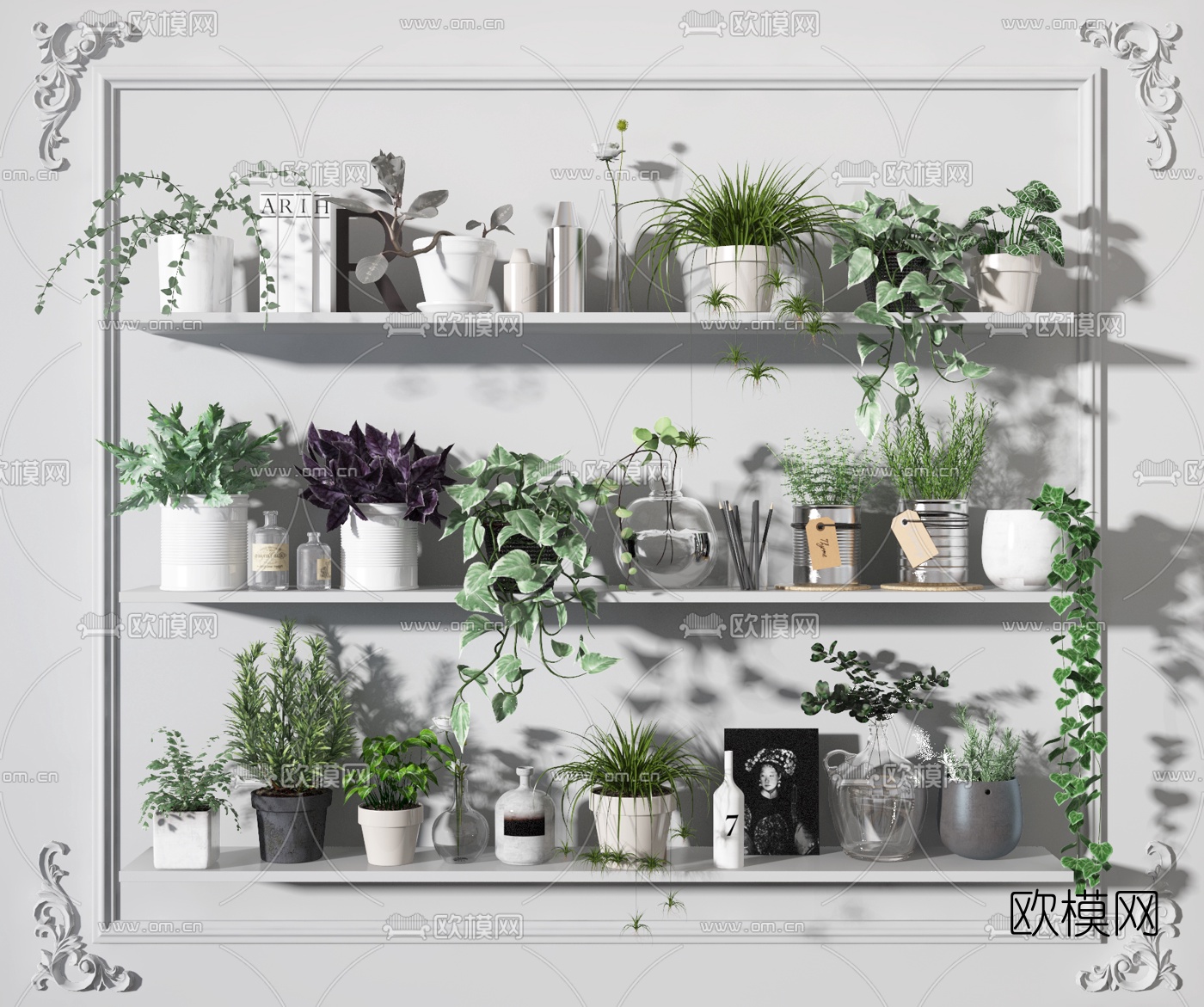 现代植物盆栽3d模型