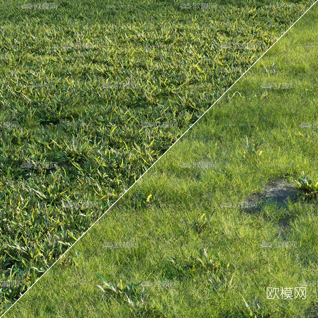 现代草地草坪3d模型下载（渲染图3）