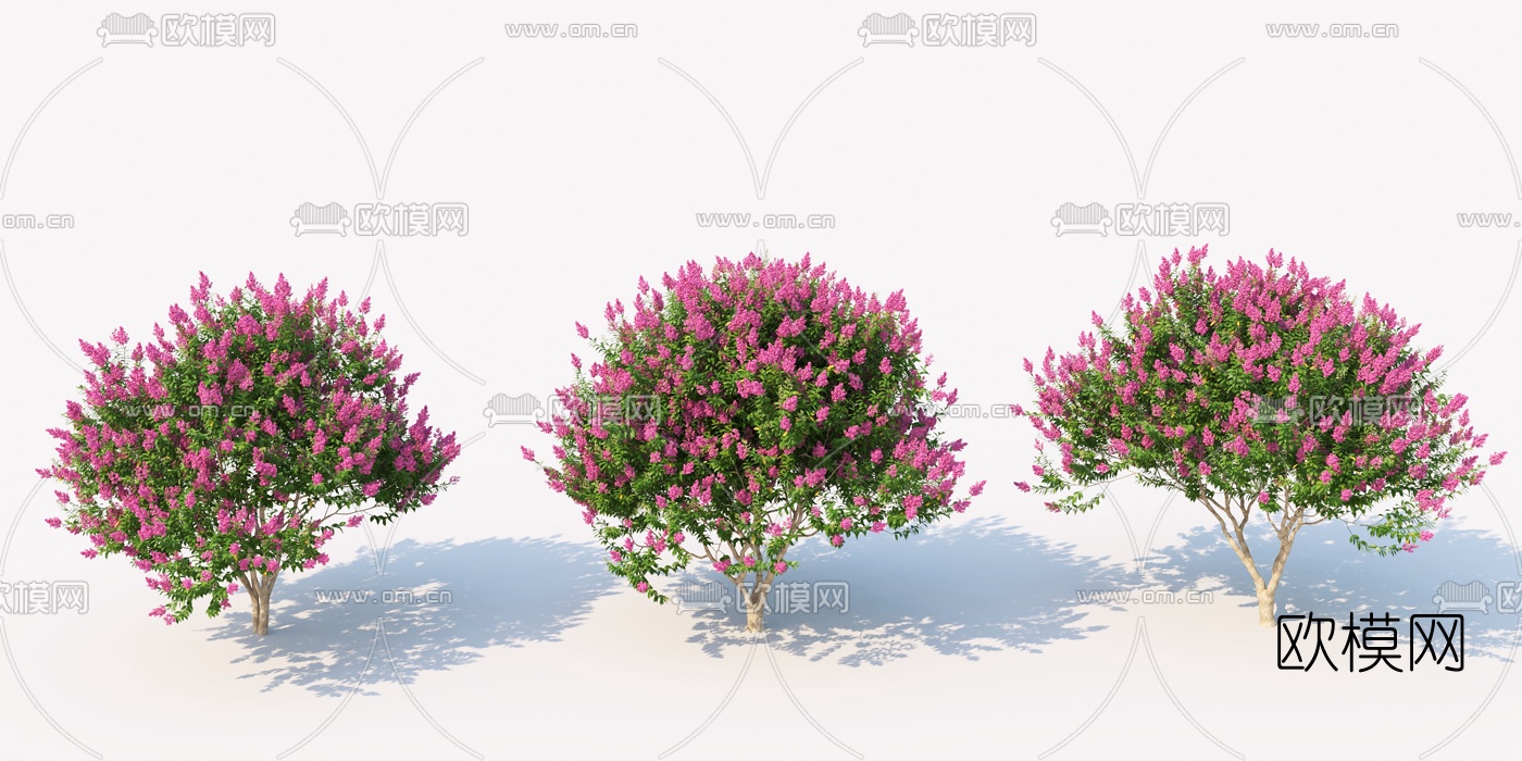 现代植物灌木3d模型