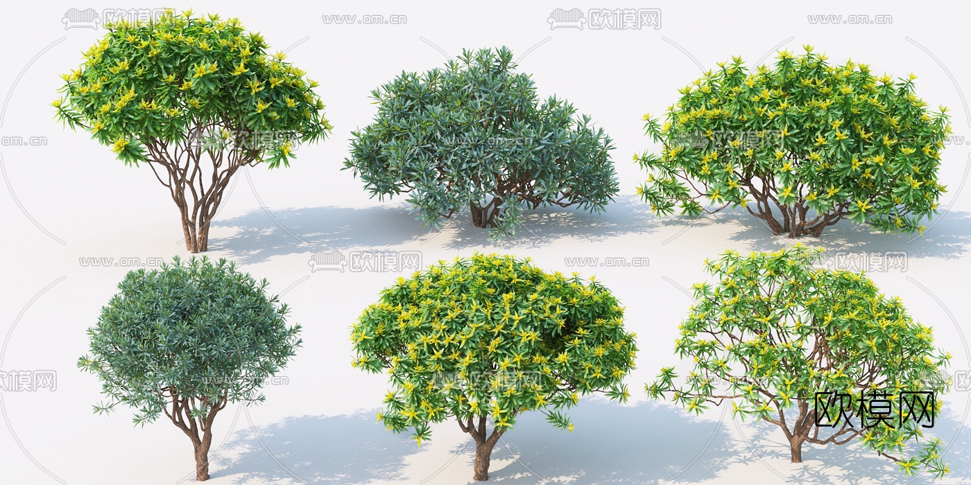 现代景观树风景树3d模型