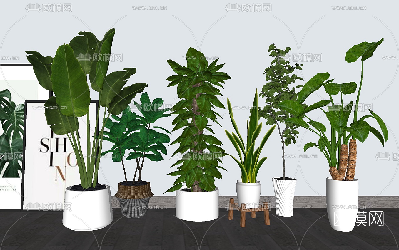 北欧绿植盆栽su模型下载（渲染图2）