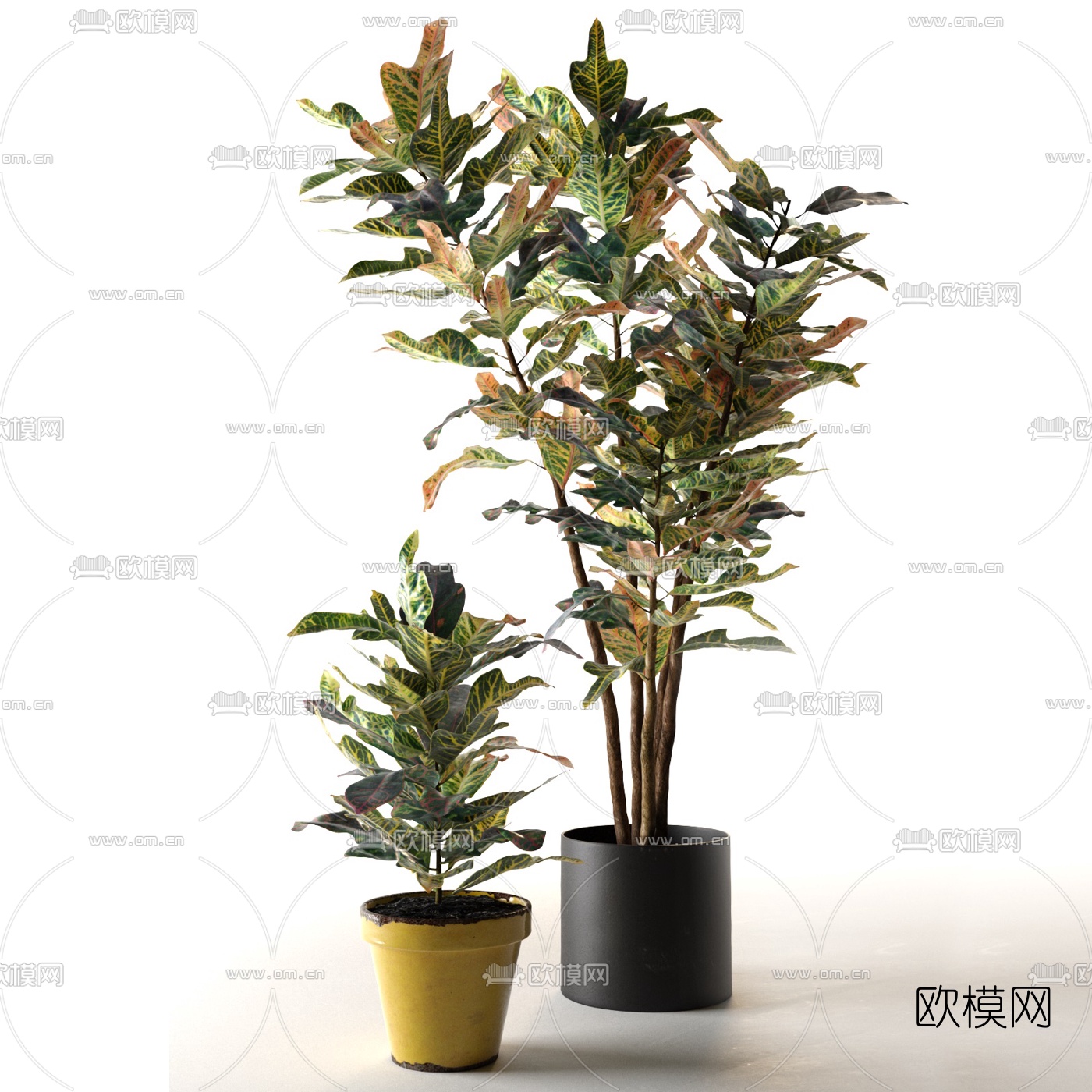 现代绿植盆栽3d模型下载（渲染图1）