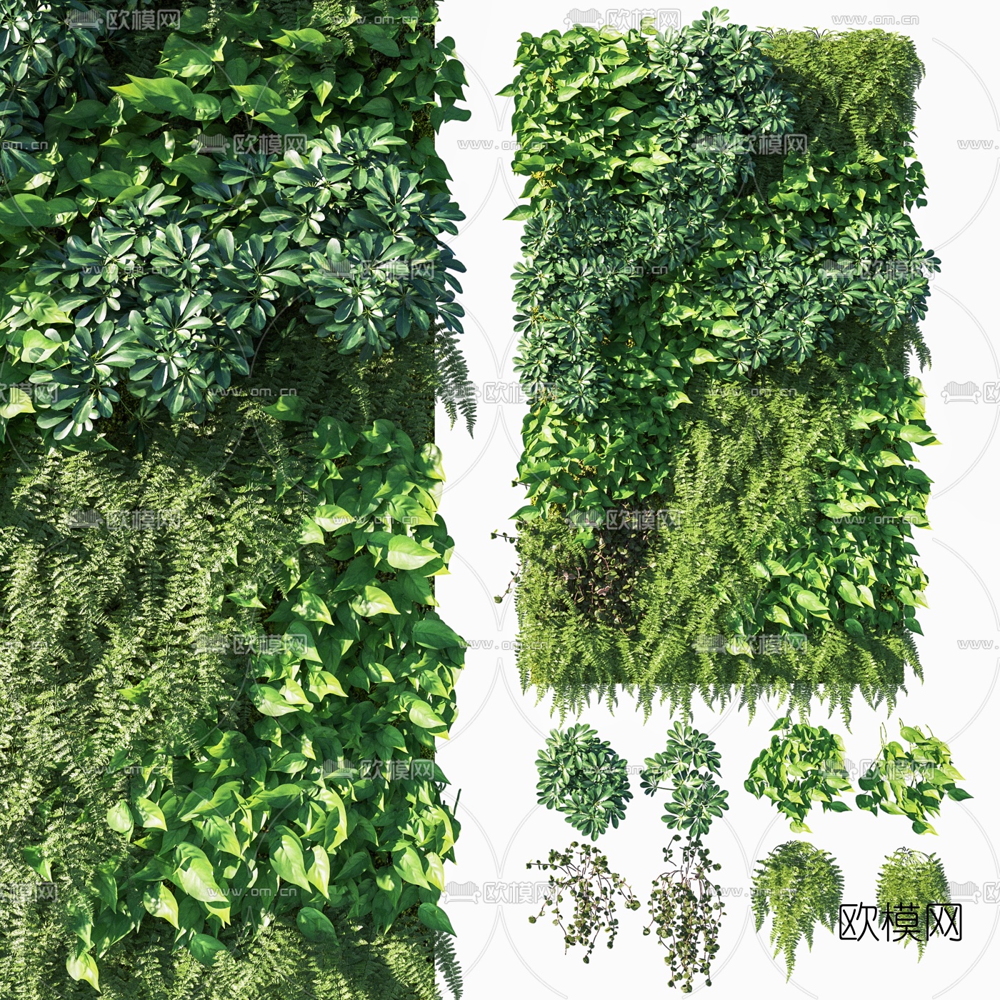 现代植物墙3d模型下载