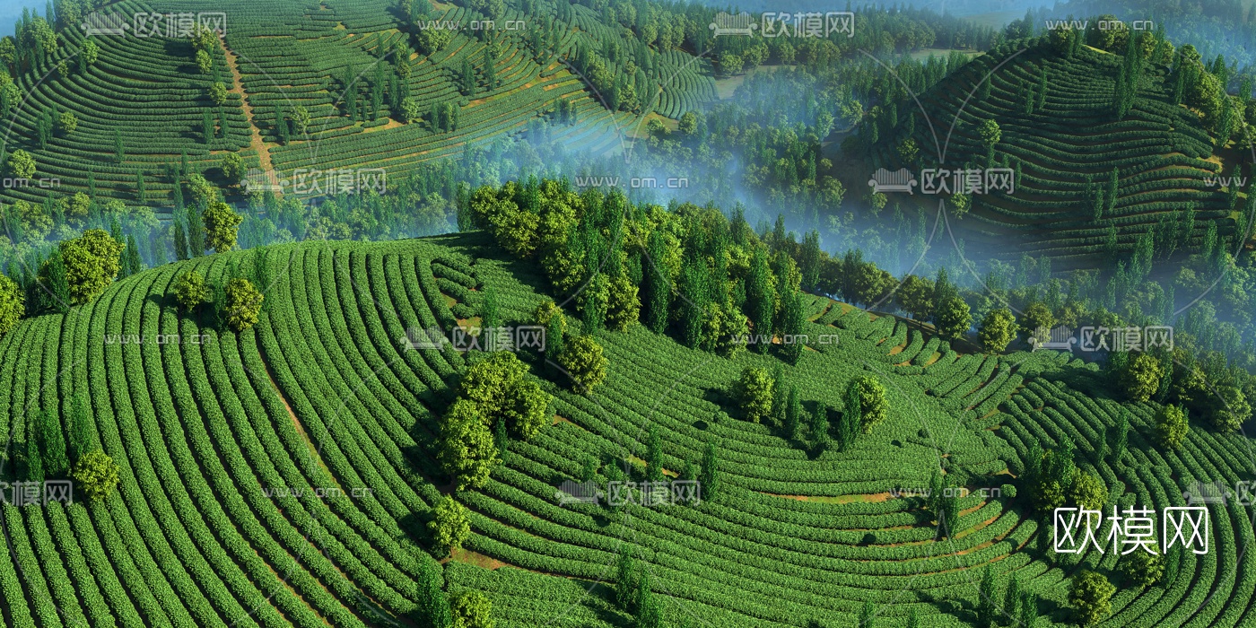 现代山地茶园景观3d模型