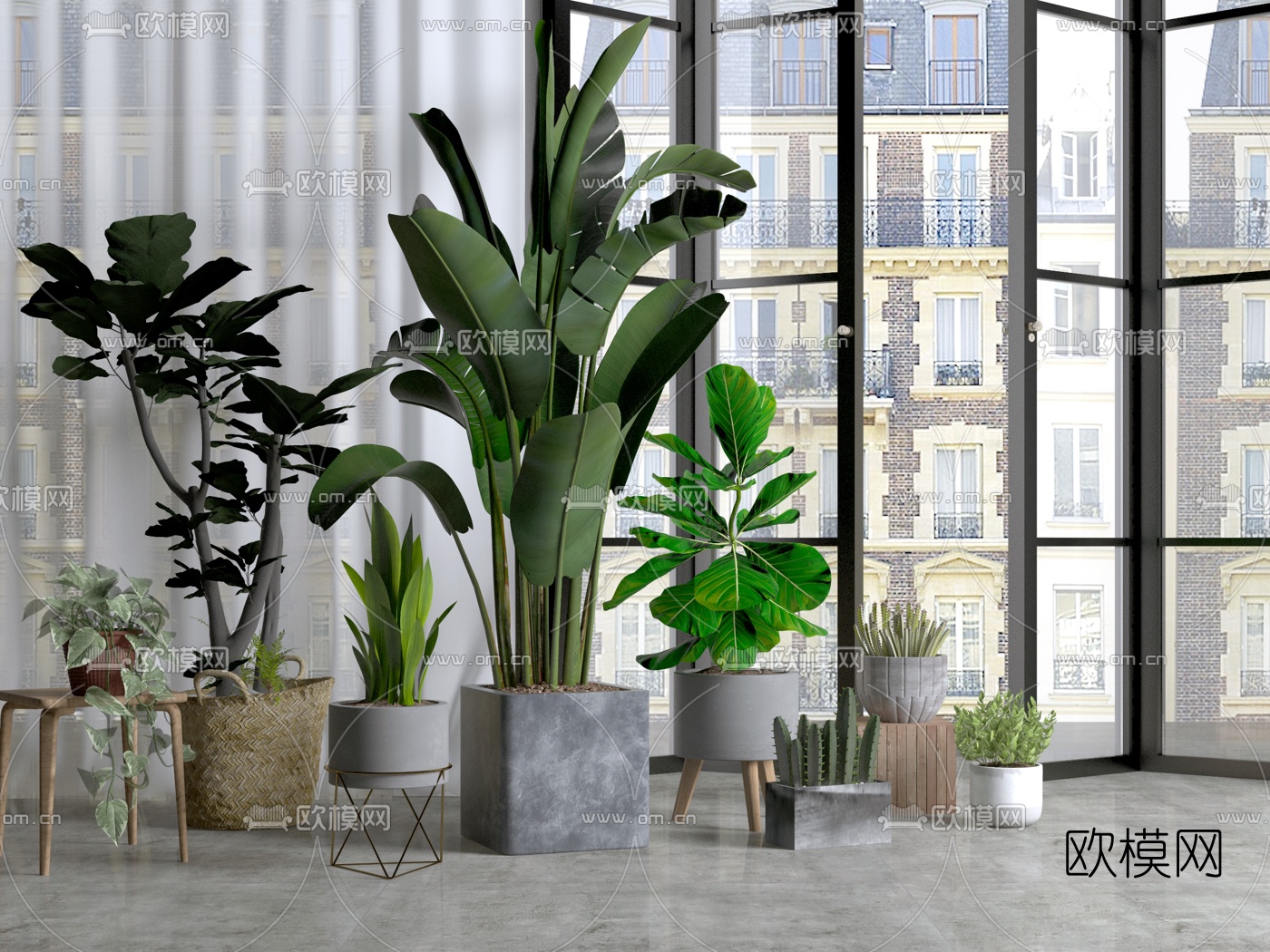 现代绿植仙人掌盆栽3d模型下载