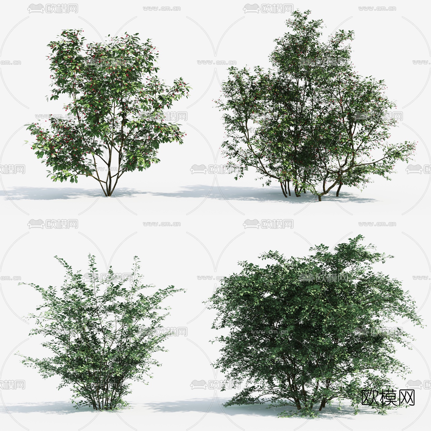 现代绿植灌木3d模型