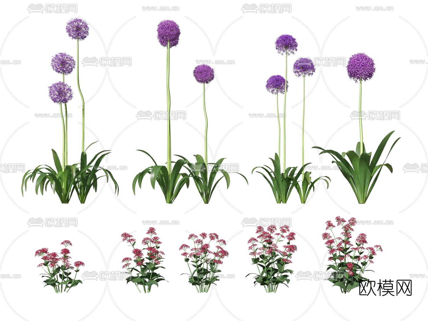 现代花草3d模型下载（渲染图3）