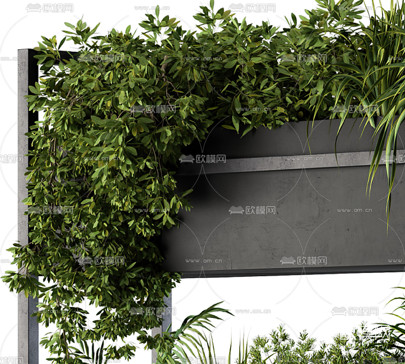 现代绿植盆栽3d模型下载（渲染图2）