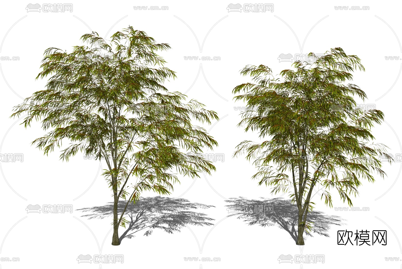 现代景观树su模型下载