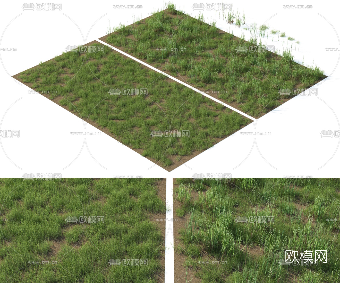 现代草地草坪3d模型下载（渲染图1）