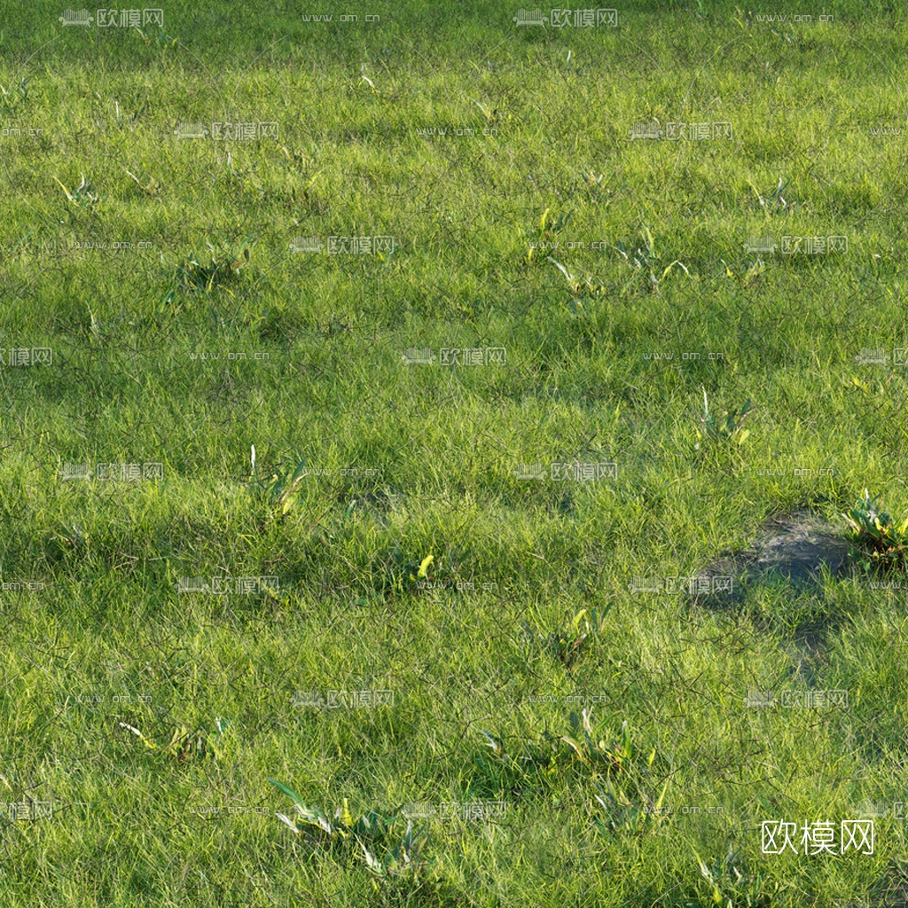 现代草地草坪3d模型下载（渲染图2）