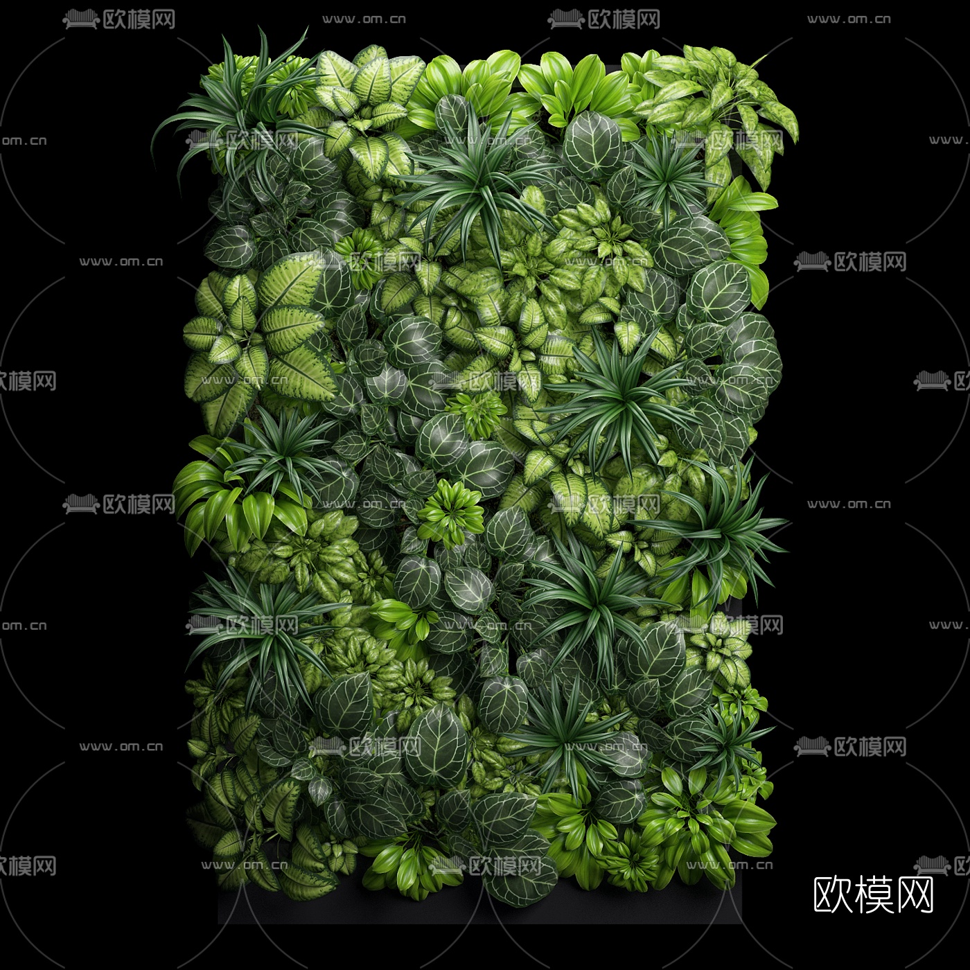 现代绿植植物墙3d模型