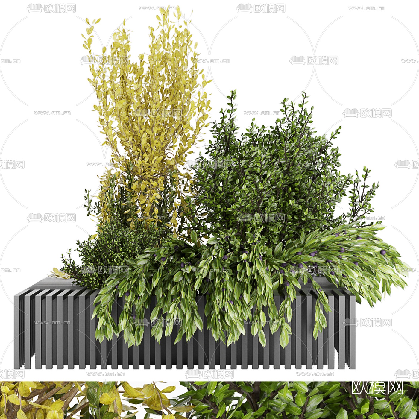 现代绿植花坛3d模型下载（渲染图2）