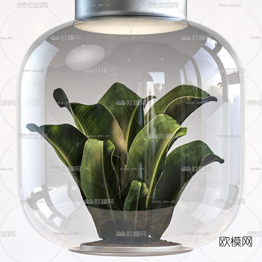 北欧玻璃植物装饰吊灯3d模型下载（渲染图2）