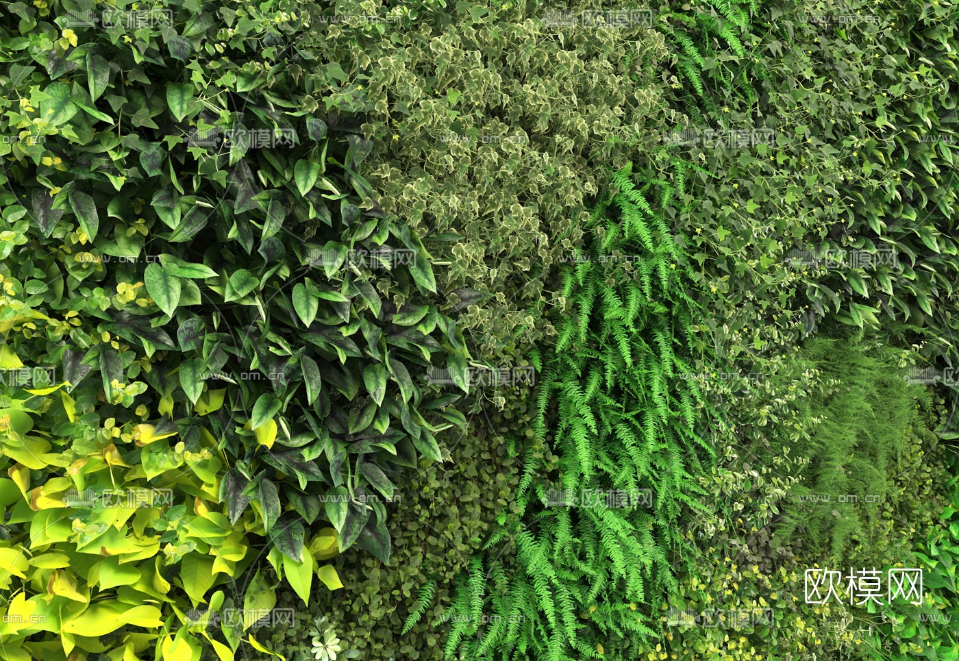 现代花草绿植墙3d模型