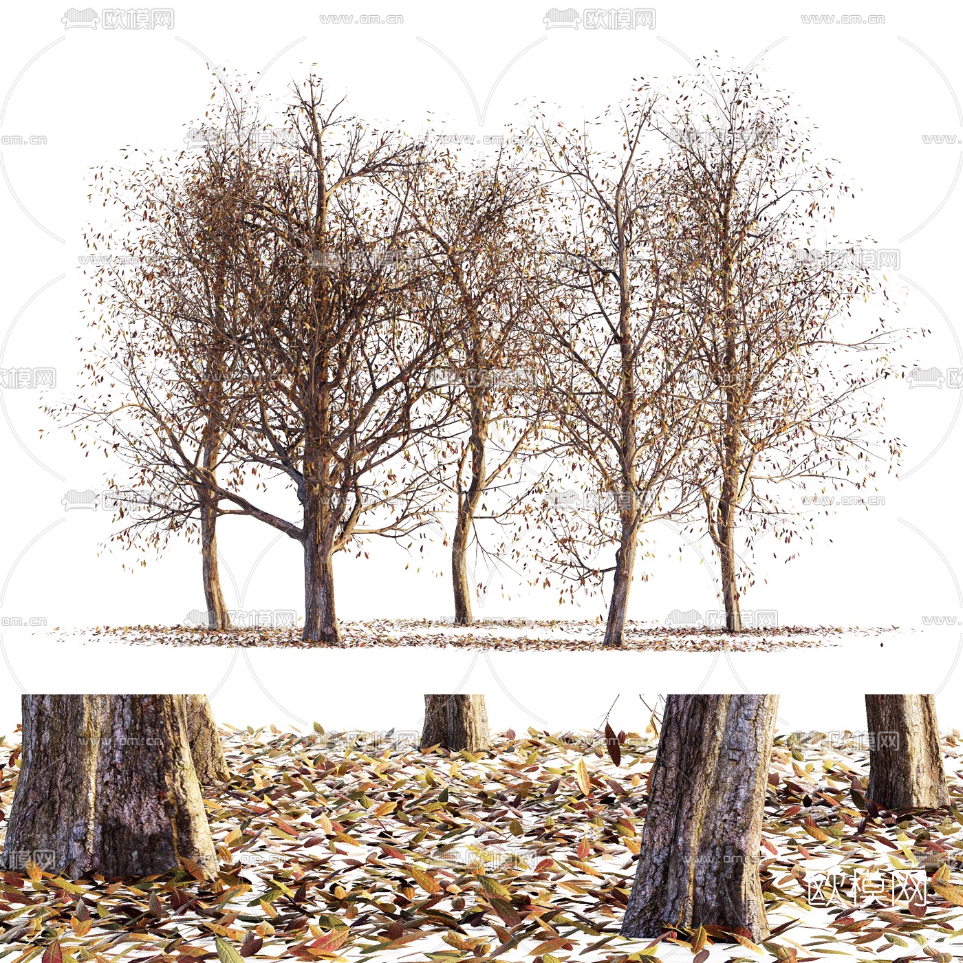 现代冬天枯树3d模型下载（渲染图1）