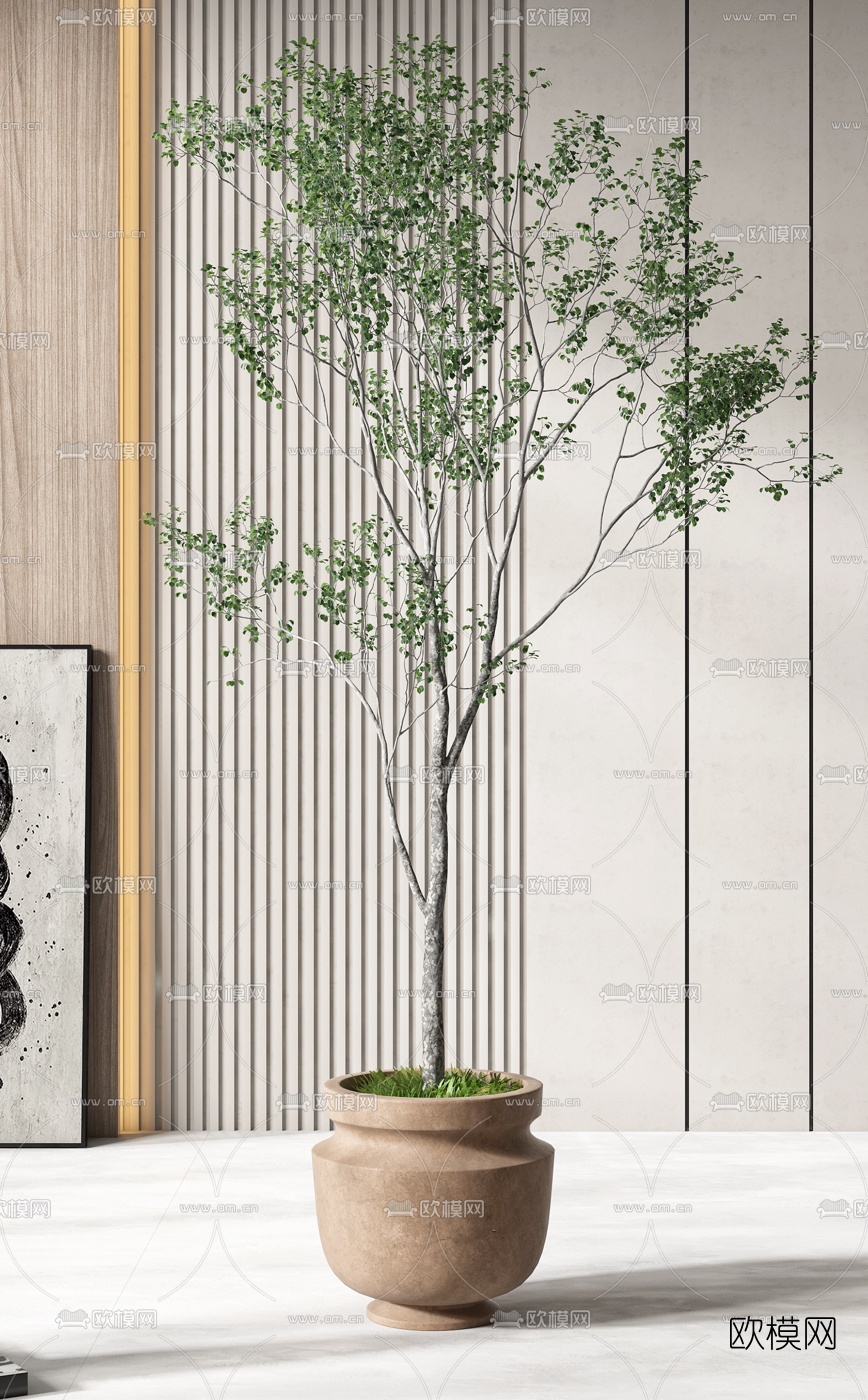 现代绿植盆栽3d模型